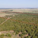 Aerial view of a large rural area with dense trees and open fields, bordered by a red outline indicating property boundaries, under a clear sky.