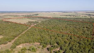 Aerial view of a large rural area with dense trees and open fields, bordered by a red outline indicating property boundaries, under a clear sky.