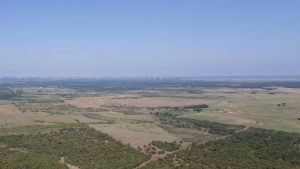 Aerial view of a vast rural landscape with open fields, scattered trees, and a small cluster of buildings; numerous wind turbines line the distant horizon under a clear blue sky.