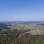 Aerial view of a vast landscape with patches of green forest, open fields, and a small pond under a clear blue sky stretching across the horizon.