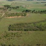 Aerial view of an expansive rural landscape with grassy fields, scattered trees, dirt roads, and a few distant buildings under a clear sky.