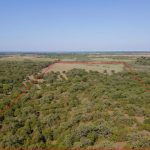 Aerial view of a large plot of land covered with trees, outlined with a red border, set in a rural landscape under a clear blue sky.