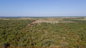 Aerial view of a large plot of land covered with trees, outlined with a red border, set in a rural landscape under a clear blue sky.