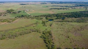 Aerial view of a rural, grassy landscape with patches of trees, a small pond, scattered houses, and farmland stretching into the distance under a clear sky.