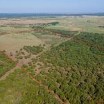 Aerial view of a large, rectangular rural land plot outlined in red, featuring both open grassy areas and dense clusters of green trees, surrounded by expansive fields and distant greenery.