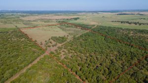 Aerial view of a large, rectangular rural land plot outlined in red, featuring both open grassy areas and dense clusters of green trees, surrounded by expansive fields and distant greenery.