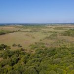 Aerial view of a vast rural landscape with open fields, scattered trees, and patches of forest under a clear blue sky. The horizon stretches far into the distance.