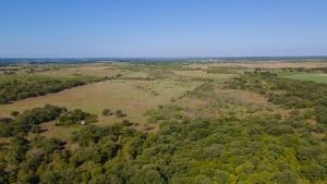 Aerial view of a vast rural landscape with open fields, scattered trees, and patches of forest under a clear blue sky. The horizon stretches far into the distance.