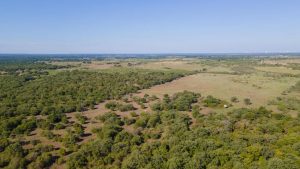 Aerial view of a vast, green landscape with scattered trees, grassy fields, and gentle rolling hills under a clear blue sky.