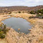 A small, shallow pond surrounded by dry grass and scattered shrubs rests amid the hilly, semi-arid landscape of the historic S&S Ranch under a cloudy sky.