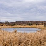 A small pond at the historic S&S Ranch is surrounded by dry, golden grasses, with low, brush-covered hills in the background beneath a cloudy sky.