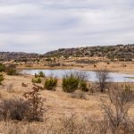 A small pond surrounded by dry grass, bushes, and scattered trees rests in the hilly, arid landscape of the historic S&S Ranch under a cloudy sky.