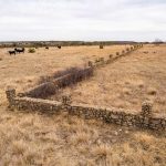 A dry, grassy field with scattered cattle and a long, low stone wall runs through the center of the Historic S&S Ranch, under an overcast sky. Small bushes and distant trees dot the landscape.