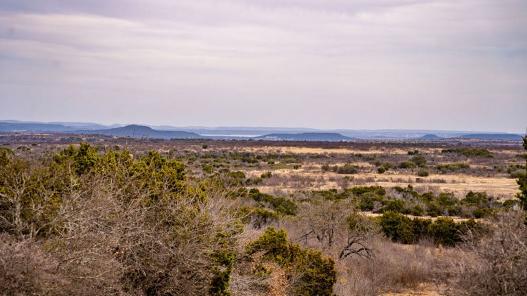 A wide landscape of dry, grassy plains with scattered bushes and trees under a cloudy sky stretches across the S&S Ranch, with distant low hills visible on the horizon.