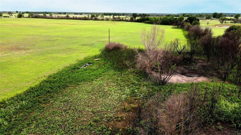 Aerial view of a grassy field with patches of green and brown vegetation, scattered trees, and an area with bare, leafless branches, possibly affected by fire. The sky is clear with a distant horizon.