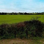 A rural road runs beside a large green field under a partly cloudy sky. A wooden gate and overgrown bushes are in the foreground, with trees visible along the horizon.