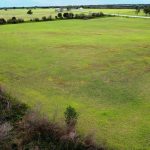A wide, open grassy field with sparse patches of dry grass, bordered by trees and shrubs, under a mostly clear sky. A rural road and distant buildings are visible in the background.