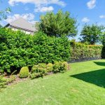 A well-maintained backyard with green grass, manicured bushes, and tall hedges along a fence. Trees and a house are visible in the background under a bright blue sky with scattered clouds.
