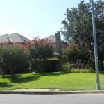A large house partially hidden by flowering trees and shrubs, with a well-maintained green lawn, sits behind a sidewalk and street under a clear blue sky. A streetlight stands near the curb.