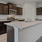 Modern kitchen with dark wood cabinets, stainless steel appliances, granite countertops, a central island with a sink, and light-colored wood flooring. Walls are light gray and the space appears clean and empty.