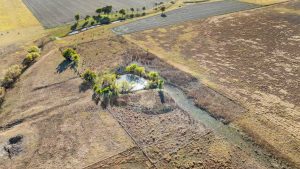 Aerial view of a rural landscape with dry fields, a small pond surrounded by green trees, and scattered trees along a country road in the background.