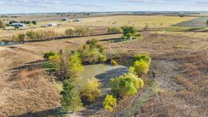 A small pond surrounded by green trees sits in the middle of a dry, grassy field. In the distance, there are scattered buildings, cattle, and open farmland under a partly cloudy sky.