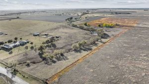 Aerial view of rural farmland with scattered trees, a few houses and buildings on the left, open fields, and a small pond near a winding road. Patches of yellow vegetation are visible near the center right.