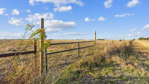 A metal gate and wire fence border a sunlit, grassy field under a blue sky with scattered clouds. Dry plants grow near the fence, and a distant tractor is visible on the right side of the horizon.
