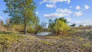 A small pond surrounded by green trees and grass under a blue sky with scattered clouds on a sunny day.