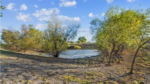 A small pond surrounded by green trees and bushes, under a bright blue sky with scattered white clouds. The ground is dry with scattered leaves and patches of grass.