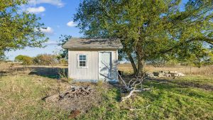 A small, weathered shed with a gray door stands in a grassy, rural field beside a leafy tree, with logs and scattered branches on the ground in front. The sky is blue with a few clouds.