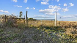 A metal wire gate stands between wooden posts, separating a grassy area from an open, sunlit field under a blue sky with scattered clouds. Tall weeds and grass frame the foreground.