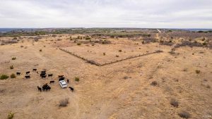 Aerial view of a dry, open field with scattered shrubs, a fenced rectangular area, a group of cows near a white vehicle, and a person walking nearby. The landscape extends to the horizon under a cloudy sky.