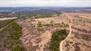 Aerial view of a vast, dry landscape with patches of green vegetation, a winding dirt road, and distant hills under a cloudy sky.
