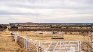 A fenced, empty livestock pen sits on a dry, grassy field under a cloudy sky, with rolling hills and scattered trees in the background.