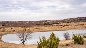 A small pond surrounded by dry, grassy terrain with sparse bushes and leafless trees under a cloudy sky. A single bird is flying in the distance above the hills.