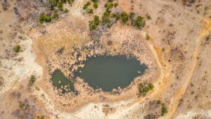 Aerial view of a small, irregularly shaped pond surrounded by dry, brown grass and sparse green bushes in a semi-arid landscape with dirt paths visible around the water.