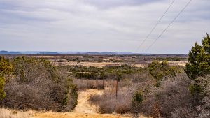 A dirt path runs through dry, brushy landscape with scattered trees. Power lines cross the sky, and distant hills are visible under a mostly cloudy sky.