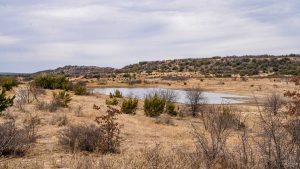 A small pond surrounded by dry grass, scattered shrubs, and low, rolling hills under a mostly cloudy sky in a semi-arid landscape.