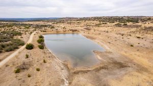 A small pond surrounded by dry, grassy terrain and sparse bushes under a cloudy sky, with a dirt road curving around the water in a rural landscape.