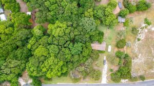 Aerial view of a densely wooded area with a house partially visible among the trees, a driveway leading to the road, and open grassy land with scattered bushes and structures nearby.