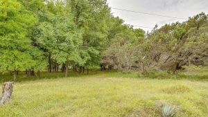A grassy field with scattered green trees under a cloudy sky, crossed by several utility wires. A tree stump and some bushes are visible in the foreground.