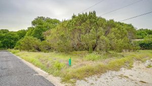 A corner lot with overgrown grass and dense, bushy trees beside a paved road under a cloudy sky. A green utility marker stands near the roadside. Power lines run above the trees.